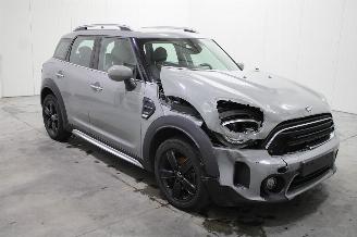Mini One Countryman picture 2