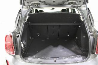 Mini One Countryman picture 13