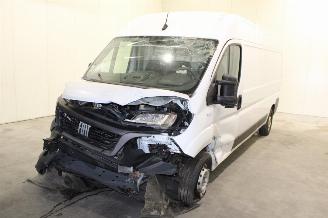 Sloopauto Fiat Ducato  2024/2