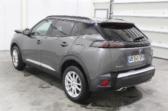 Peugeot 2008  picture 4