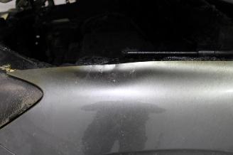 Renault Arkana  picture 19