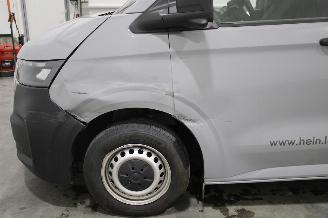 Volkswagen Transporter  picture 9