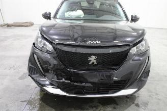 Peugeot 2008  picture 6