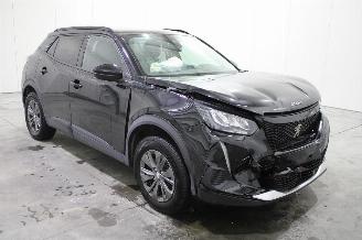 Peugeot 2008  picture 2