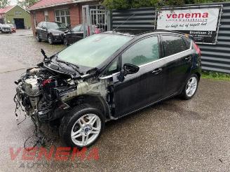 Ford Fiesta  picture 1
