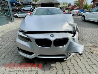 BMW 2-serie 2 serie (F22), Coupe, 2013 / 2021 218d 2.0 16V picture 8