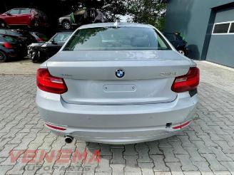 BMW 2-serie 2 serie (F22), Coupe, 2013 / 2021 218d 2.0 16V picture 4
