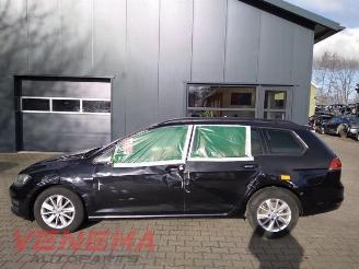 Volkswagen Golf Golf VII Variant (AUVV), Combi, 2013 / 2021 1.4 TGI 16V picture 7