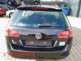 Volkswagen Golf Golf VII Variant (AUVV), Combi, 2013 / 2021 1.4 TGI 16V picture 6