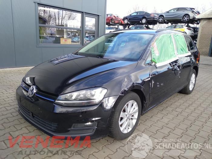 Volkswagen Golf Golf VII Variant (AUVV), Combi, 2013 / 2021 1.4 TGI 16V