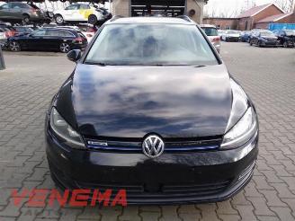 Volkswagen Golf Golf VII Variant (AUVV), Combi, 2013 / 2021 1.4 TGI 16V picture 2