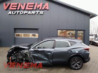  Cupra Formentor Formentor, SUV, 2020 1.5 e-Hybrid VZ 16V 2025/9