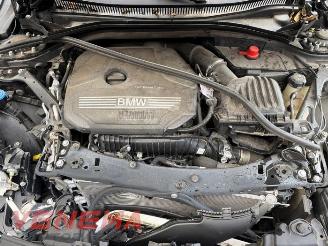 BMW 1-serie 1 serie (F40), Hatchback, 2019 116i 1.5 TwinPower 12V picture 19