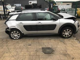 Citroën C4 cactus  picture 2