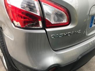 Nissan Qashqai+2  picture 2