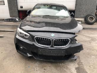 Damaged car BMW 2-serie 2000cc - 140kw - bmw 2reeks - f22 2018/1