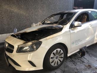 demontáž osobní automobily Mercedes A-klasse mercedes A-klasse 180 CDI 2013/1