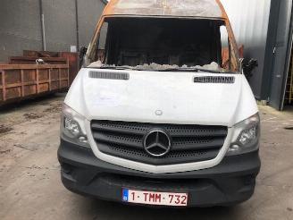 Mercedes Sprinter Mercedes Sprinter (2013) 313CDI WDB906.3. picture 3