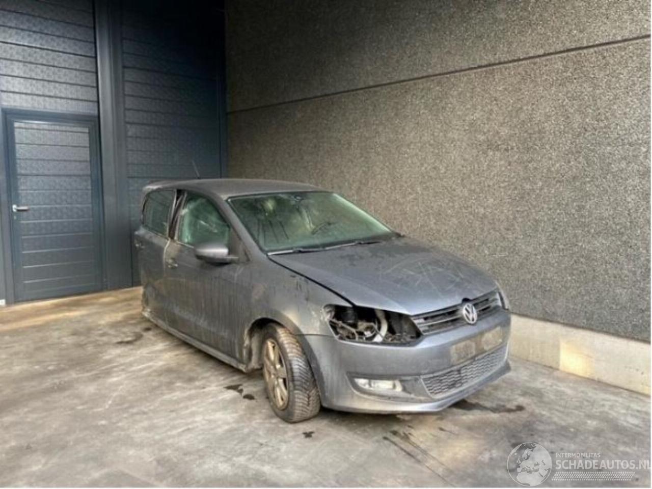 Volkswagen Polo 2011 1.6D 5VIT 66KW