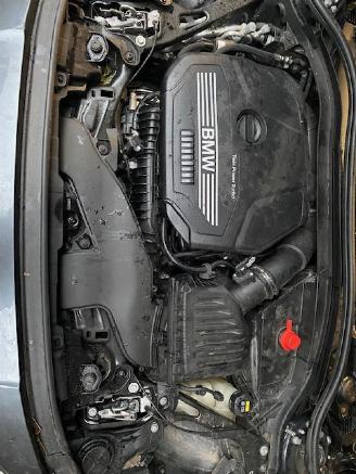 BMW 1-serie 118i 1.5 TwinPower 12V Hatchback  Benzine 1.499cc 103kW FWD 2019-07 (7K31; 7K32) picture 11
