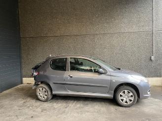 Peugeot 206+ 206+ (2L/M) Hatchback 2009 / 2013 1.1 XR,XS GPL Hatchback   1.124cc 44kW (60pk) picture 2