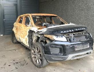 Salvage car Land Rover Range Rover Evoque (LVJ/LVS) SUV 2011 2.0 D 150 16V 5-drs. SUV 4Dr Diesel 1.999cc 110kW  2015-06 2018/1