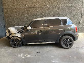 Mini Countryman (R60) SUV 2010 / 2016 1.6 16V Cooper ALL4 SUV  Benzine 1.598cc 90kW (122pk) 4x4 2012-11/2016-10 picture 3