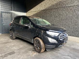 demontáž osobní automobily Ford EcoSport (JK8) SUV 2013 1.0 EcoBoost 12V 125 SUV  Benzine 998cc 92kW (125pk) FWD 2019/10