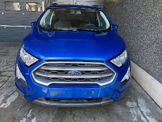 Ford EcoSport EcoSport (JK8) SUV 1.0 EcoBoost 12V 125 SUV  Benzine 998cc 92kW picture 4