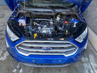 Ford EcoSport EcoSport (JK8) SUV 1.0 EcoBoost 12V 125 SUV  Benzine 998cc 92kW picture 6