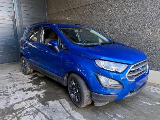 rozbiórka samochody osobowe Ford EcoSport EcoSport (JK8) SUV 1.0 EcoBoost 12V 125 SUV  Benzine 998cc 92kW 2019/5