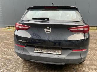 Opel Grandland Grandland X SUV 1.5 CDTI 130 SUV  Diesel 1.499cc 96kW picture 6