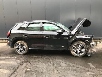 Audi Q5 (FYX) SUV 2019 2.0 40 TDI 16V Quattro SUV  Diesel 1.968cc 140kW (190pk) 4x4 picture 2