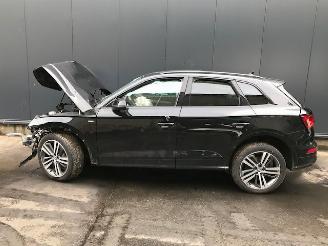 Audi Q5 (FYX) SUV 2019 2.0 40 TDI 16V Quattro SUV  Diesel 1.968cc 140kW (190pk) 4x4 picture 4