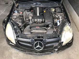 Mercedes SLK (R171) Cabrio 2004 / 2011 1.8 200 K 16V Cabrio  Benzine 1.796cc 120kW (163pk) RWD picture 12