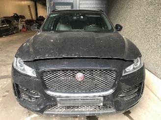 Jaguar F-Pace SUV 2018 2.0 D 180 16V AWD SUV  Diesel 1.999cc 132kW (179pk) 4x4 picture 6