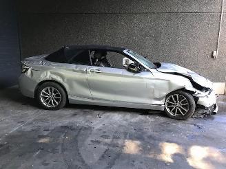 BMW 2-serie (F23) Cabrio 2017 218i 1.5 TwinPower Turbo 12V Cabrio  Benzine 1.499cc 100kW (136pk) RWD picture 2