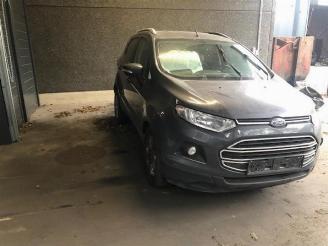 Ford EcoSport  picture 1