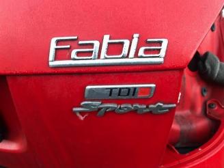 Skoda Fabia  picture 12