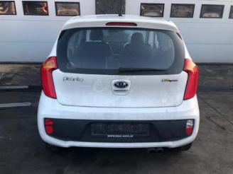 Kia Picanto  picture 3