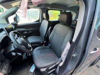 Citroën Berlingo Berlingo, Van, 2018 1.5 BlueHDi 100 picture 13