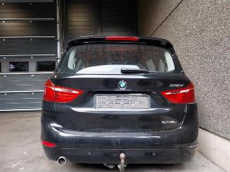BMW 2-serie 2 serie Gran Tourer (F46), MPV, 2014 218d 2.0 TwinPower Turbo 16V picture 12