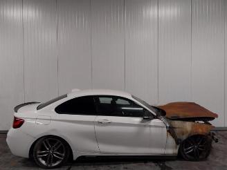 BMW 2-serie 2 serie (F22), Coupe, 2013 / 2021 218d 2.0 16V picture 9