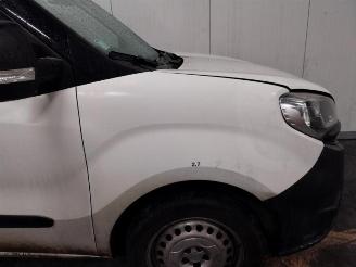 Fiat Doblo Doblo Cargo (263), Van, 2010 / 2022 1.3 D Multijet picture 12