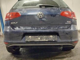 Volkswagen Golf Golf VII (AUA), Hatchback, 2012 / 2021 1.6 TDI 4Motion 16V picture 7