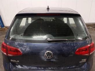 Volkswagen Golf Golf VII (AUA), Hatchback, 2012 / 2021 1.6 TDI 4Motion 16V picture 6