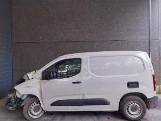 Opel Combo Combo Cargo, Van, 2018 1.5 CDTI 100 picture 3