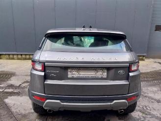 Land Rover Range Rover Evoque Range Rover Evoque (LVJ/LVS), SUV, 2011 / 2019 2.0 D 150 16V picture 2