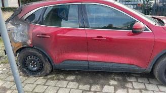 Ford Kuga Kuga III (DFK), SUV, 2019 1.5 EcoBlue picture 6