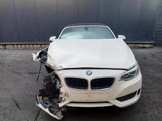 BMW 2-serie 2 serie (F23), Cabrio, 2014 / 2021 228i 2.0 Turbo 16V picture 2